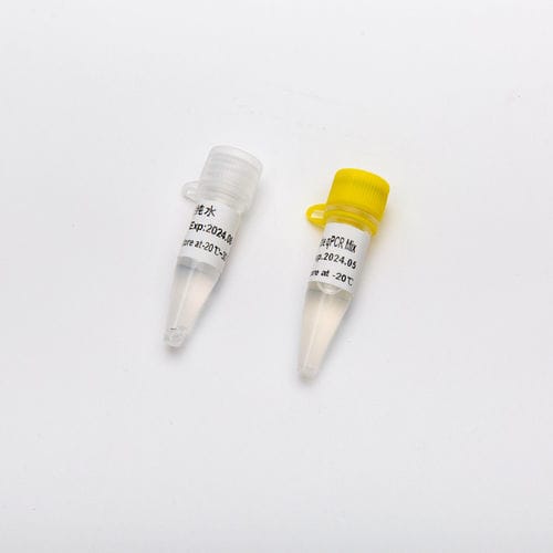 TaqDNAポリメラーゼ試薬 - HS - Guangzhou Dongsheng Biotech Co., Ltd. - リアルタイムPCR用