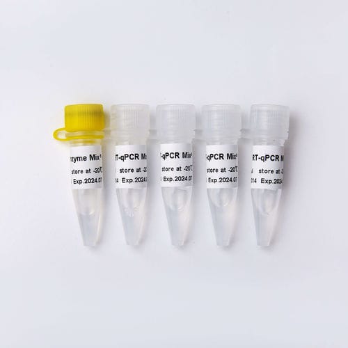 DNAポリメラーゼ試薬キット - V2 - Guangzhou Dongsheng Biotech Co., Ltd. - 逆転写酵素 / RT-qPCR用