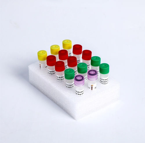 酵素試薬キット - K004-A - Guangzhou Dongsheng Biotech Co., Ltd. - DNAリガーゼ / 染料 / NGS