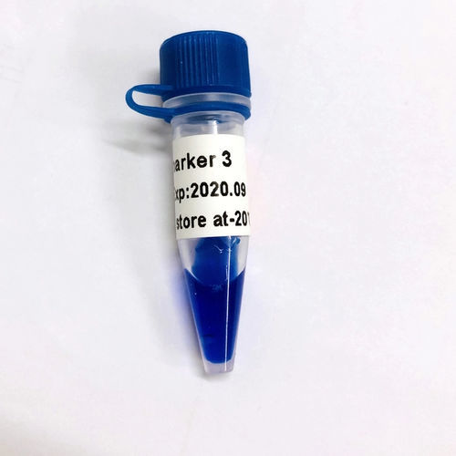 アガロースゲル試薬 - LD - Guangzhou Dongsheng Biotech Co., Ltd. - 染料 / 核酸 / 電気泳動