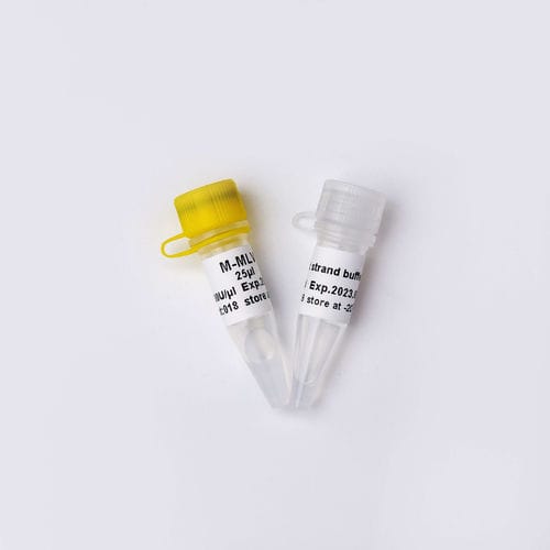酵素試薬 - R1042 - Guangzhou Dongsheng Biotech Co., Ltd. - 逆転写酵素 / 研究用 / ウイルス