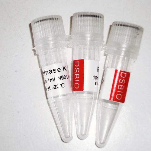 酵素試薬 - N9012 - Guangzhou Dongsheng Biotech Co., Ltd. - プロテアーゼ / プロテイナーゼK / 生物分子学用