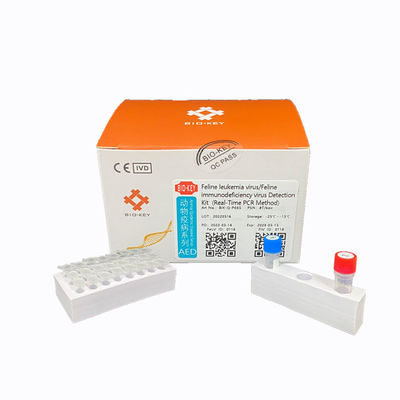 ネコ白血病検査キット - BIK-Q-P035 - Biokey Health - AIDS用 / ネコ科の動物用 / 全血