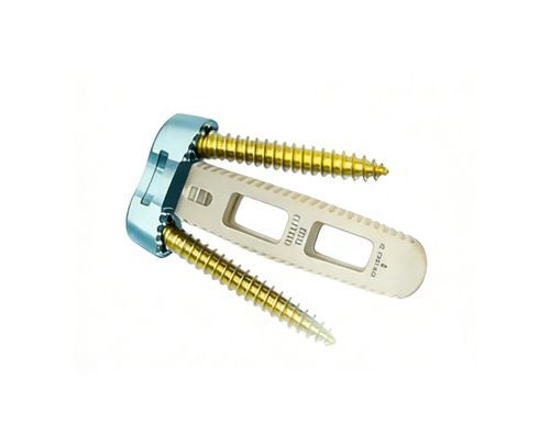 頸椎椎体間ケージ - O-LIF - Chongqing FWS Medical Device - 前方進入 / PEEK製