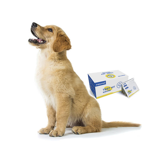 膵臓がん用検査キット - Poclight - 獣医用 / 動物用 / 犬