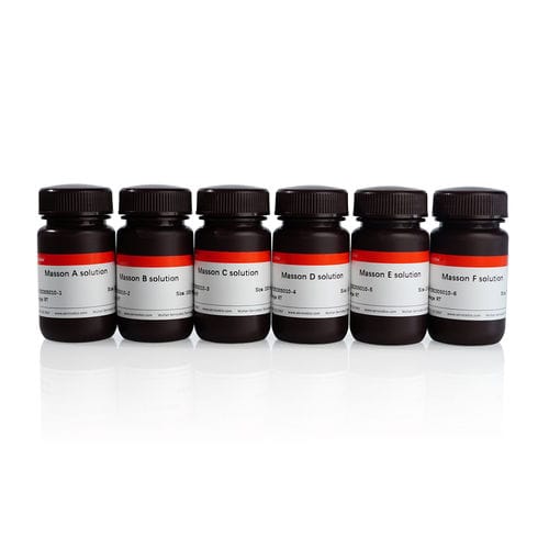 染色液試薬キット - G1006-20mL - Servicebio - 病理学