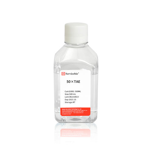 緩衝液試薬キット - G3001-500ML - Servicebio - 電気泳動 / 液体