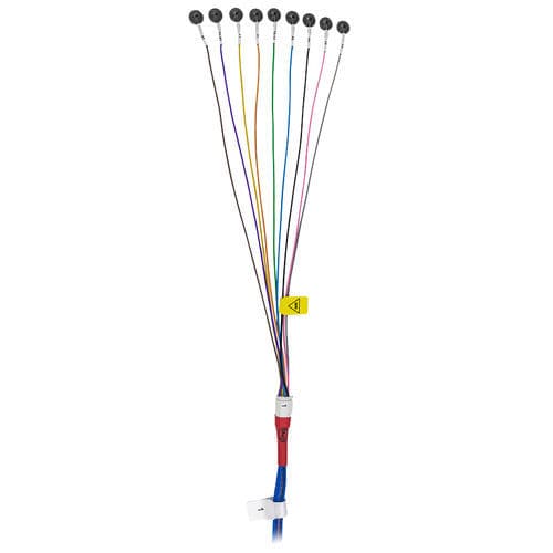 EEG電極 - Grass® MR - Natus Micromed