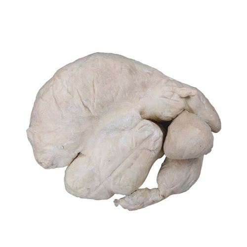 胃の解剖模型 - MWDW-035 - MeiWo Science - 獣医用 / 実習用 / ウシ