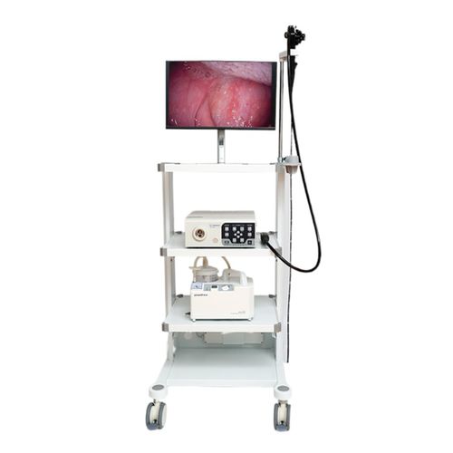 ビデオ動物用胃カメラ - VET-1508 - Gongjiang Endoscopy Instruments - ビデオモニター搭載 / ワーキングチャネル付き