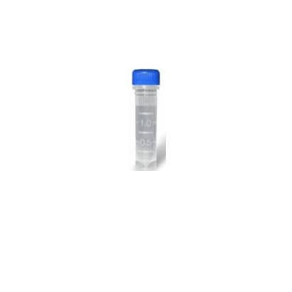 NGS試薬 - YST0124 series - Guilin Yourui Biotechnology Co., Ltd - 溶液 / 研究用 / DNAライブラリーの準備