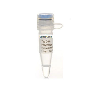 酵素試薬 - YST0001 series - Guilin Yourui Biotechnology Co., Ltd - DNAポリメラーゼ / TaqDNAポリメラーゼ / PCR
