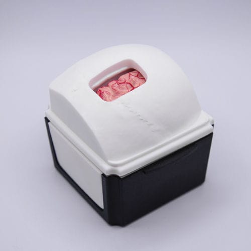 医療訓練用シミュレーター - InterhemisphericBox - UpSurgeOn - 一般的な治療用 / 手術用 / 神経外科