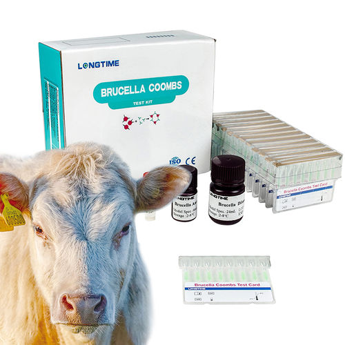 感染病用検査キット - Zhuhai Longtime Biological Technology Co., Ltd. - 動物用 / 細菌 / ブルセラ属菌