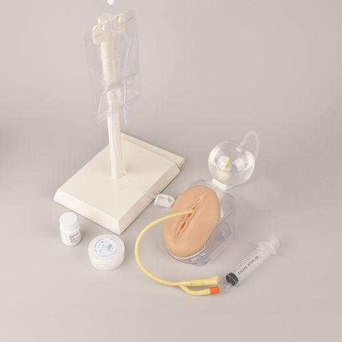 医療訓練用シミュレーター - MEQ05005 - MedEduQuest. - 尿路カテーテル / 一般的な治療用 / 臨床ケア用