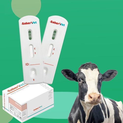 ブルセラ属菌迅速検査キット - SaberVet BRU Ab - Hangzhou Antigenne Technology Co. Ltd - 獣医用 / 牛 / ブルセラ属菌