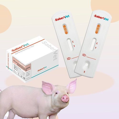 感染病用迅速検査キット - SaberVet CSFV Ab - Hangzhou Antigenne Technology Co. Ltd - 獣医用 / 豚 / ウイルス