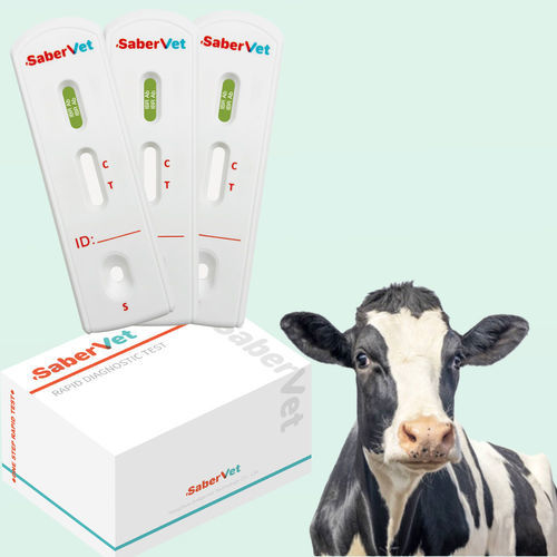 感染病用迅速検査キット - SaberVet IBR Ab - Hangzhou Antigenne Technology Co. Ltd - 獣医用 / 牛 / ウイルス