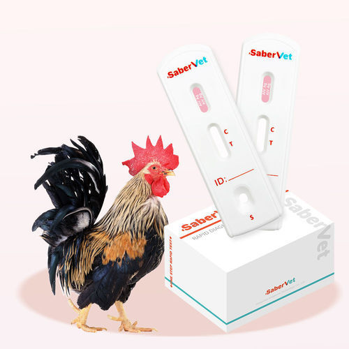 鳥インフルエンザ用迅速検査キット - SaberVet AIV Ag - Hangzhou Antigenne Technology Co. Ltd - 獣医用 / ウイルス / インフルエンザA型