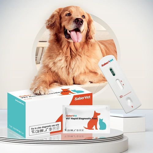 感染病用迅速検査キット - Sabervet CCV Ag - Hangzhou Antigenne Technology Co. Ltd - 獣医用 / 犬 / 抗原