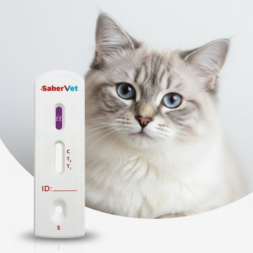 炎症性腸疾患用迅速検査キット - Sabervet FPL - Hangzhou Antigenne Technology Co. Ltd - 獣医用 / ネコ科の動物用 / リパーゼ
