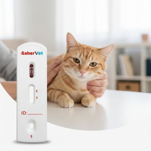 獣医用迅速検査キット - SaberVet F.ANA - Hangzhou Antigenne Technology Co. Ltd - 感染病用 / ネコ科の動物用 / 抗体
