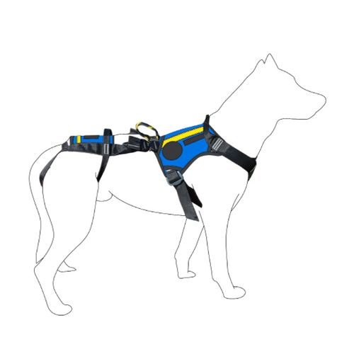 獣医用ハーネス - SEC1280 - Dimatex Securite SARL - 犬用
