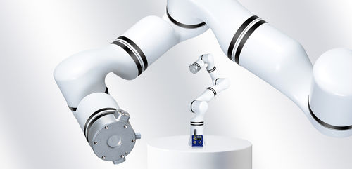 マッサージロボットアーム - RM65-B - RealMan Intelligent Technology - 医療 / 実験用