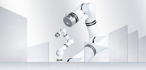 マッサージロボットアーム - RM65-ZF - RealMan Intelligent Technology - 医療 / 実験用