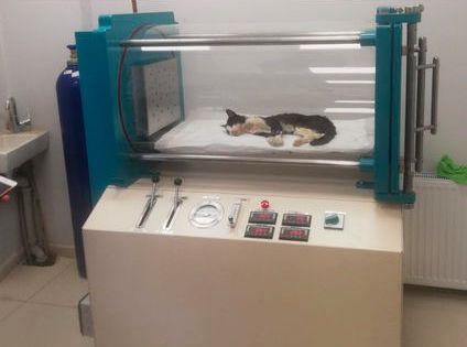 移動式獣医用高圧キャビン - VETA - Series - Barotech - 小動物用
