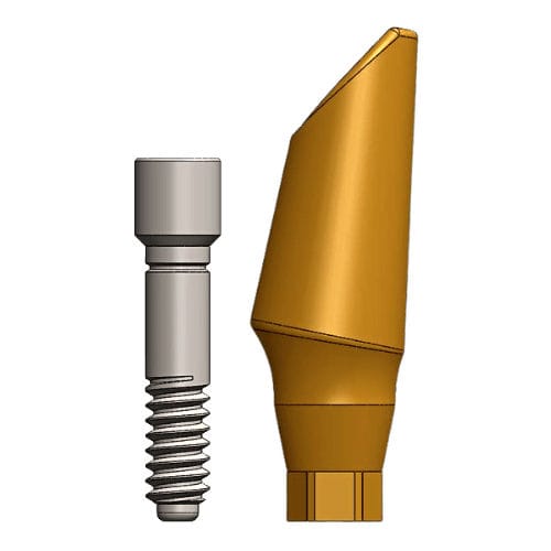 チタン製インプラントアバットメント - Dental Evolutions, Inc - 内側 / ストレートタイプ / 角度付き