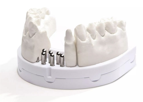 歯並び用解剖模型 - optibase exclusiv  - Dentona AG - インプラント用 / デモ用