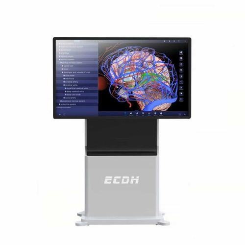 タッチスクリーン患者マルチメディア端末 - ECDH-Int 55 - Shandong Digihuman Technology CO., Inc.