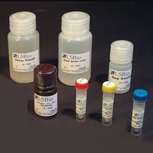 クレアチンキナーゼ検査キット - LS-K311 - LifeSpan BioSciences - 研究用 / 薬理学 / クレアチンキナーゼ