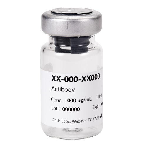 モノクローナル抗体試薬 - AB-306-AA042 - Ansh Labs - アクチビンB / 研究用 / ウェスタンブロット法用