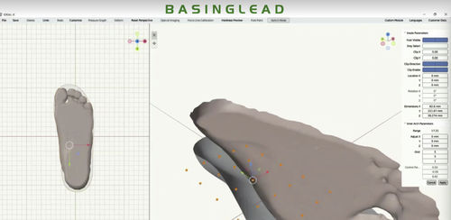 3Dプリントソフト - CAD/CAM Design Software - BASINGLEAD - CAD / 整形外科用靴底デザイン / 医療用