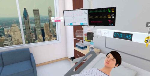 医療訓練用ソフト - UbiSim - シミュレーション / 医療用 / 産婦人科検査用