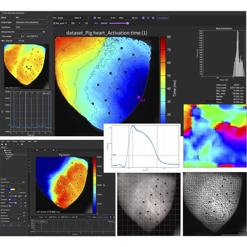 分析ソフト - BV Workbench  - Brainvision - SciMedia - データ分析 / 細胞構造画像 / 心臓
