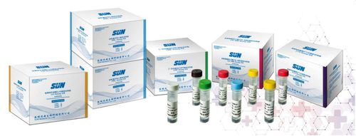 卵巣がん用検査キット - Sun Medical Products - FSH / LH / 化学発光イムノアッセイ