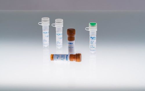 DNAポリメラーゼ試薬 - GreenHot - BIORON GmbH - dNTP溶液 / 緩衝液 / リアルタイムqPCR