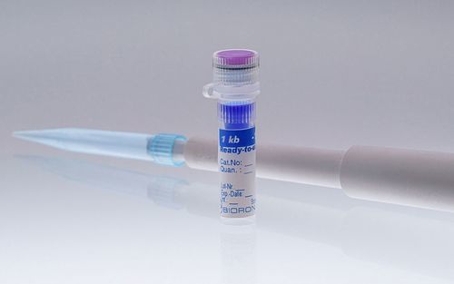 DNAラダー試薬 - 305120 - BIORON GmbH - 添加液 / 電気泳動 / DNA分析用