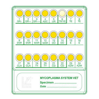 感染病用検査キット - 72593 - Liofilchem S.r.l. - 抗生物質感受テスト用 / 動物用 / マイコプラズマ