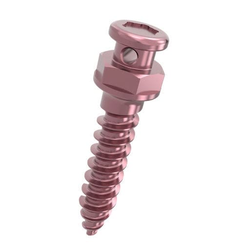 チタン製小型インプラント - 701831 series - DentalMaster (Xiamen) Medical Technology Co., Ltd - テーパー / ストレートタイプ / スクリュー