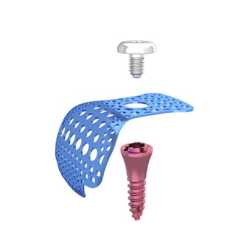 チタン製貫通固定ネジ - DentalMaster (Xiamen) Medical Technology Co., Ltd - スクリュー / 滑らかな仕上げ