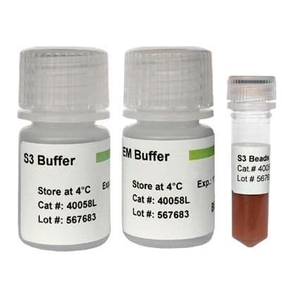 磁気ボール式試薬 - 40058S - BioDynami - DNA浄化