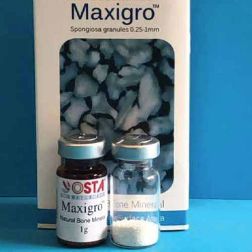 異種移植代用骨 - OST-POW-S-1G - OSTA Biomaterials - 歯科手術 / 顆粒剤