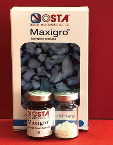 異種移植代用骨 - OST-POW-L-1G - OSTA Biomaterials - 歯科手術 / 顆粒剤