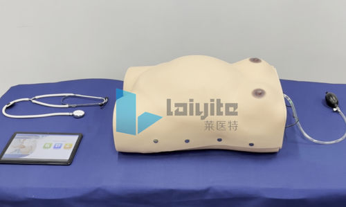 医療訓練用シミュレーター - Nanjing Laiyite Electronic Technology Co., Ltd - 産科・婦人科 / 一般的な治療用