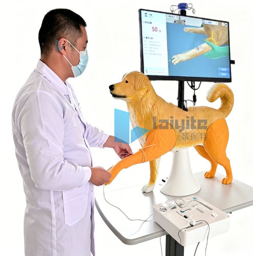 医療訓練用シミュレーター - Nanjing Laiyite Electronic Technology Co., Ltd - 獣医用 / 一般的な治療用 / 犬