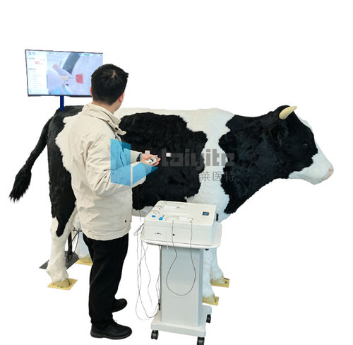 気道確保シミュレーター - Nanjing Laiyite Electronic Technology Co., Ltd - モニター用 / 医療訓練用 / 獣医用